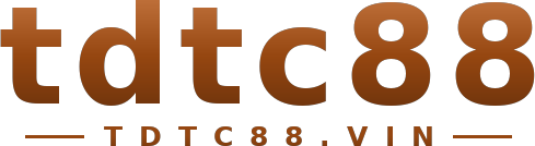 tdtc88 logo